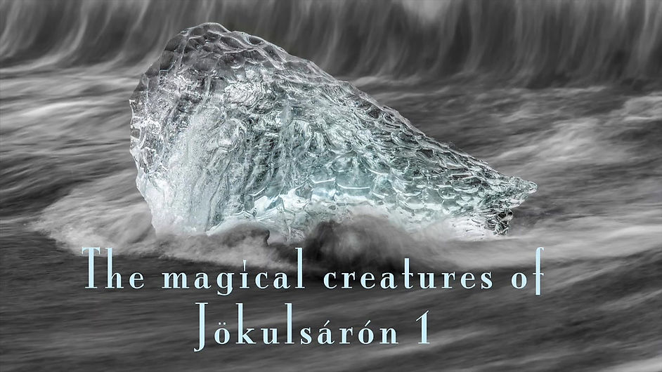 The Magic Creatures of Jökulsárlón 1